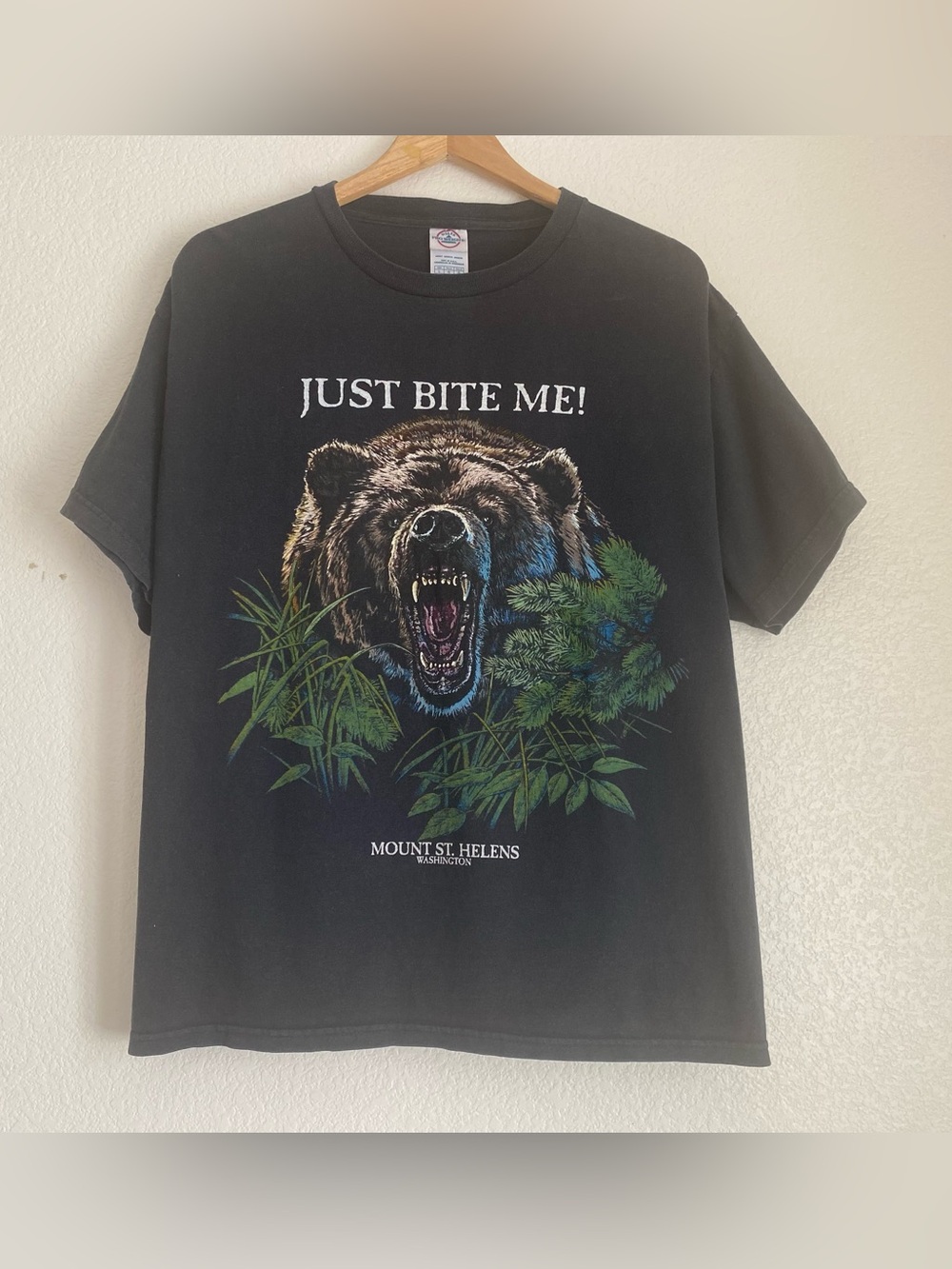 Y2K Just Bite Me Mount Saint Helens Washington graphic t-shirt, L